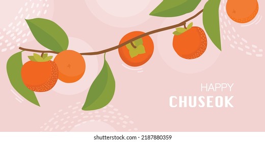 Autumn persimmon picking illustration. Korean traditional holiday Chuseok background. Ripe, juicy persimmon among green leaves. Vector illustration.