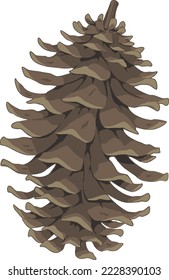 Autumn Pine Cone Vector Illustration