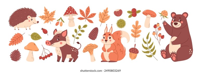 Autumn plant and animals. Fall season set. Tree leaves, berries, mushrooms. Cute childrens character