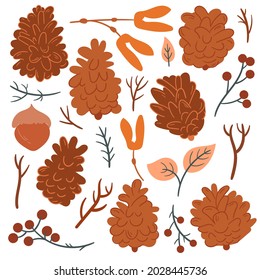 Autumn plant set. Vector illustration. 