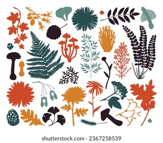 Autumn plant silhouettes set. hand-drawn vector illustration. Botanical design elements - ferns, fall leaves, flowers, branches, mushrooms. Abstract drawings in color.