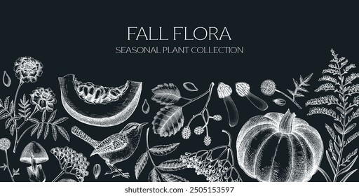 Autumn plants background. Fall leaves, pumpkins, berries, mushrooms sketches on chalkboard. Vintage botanical banner design. Hand-drawn vector illustration NOT AI generated