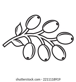 Autumn plants doodle elements. Contour elements of the plant in autumn. Vector graphics