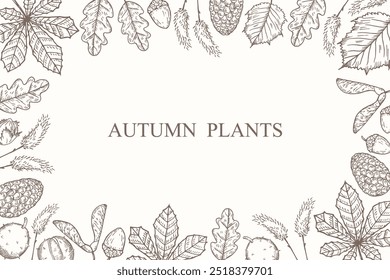 Fondo de Vector grabado de plantas de otoño para texto. Tarjeta de borde con hojas y frutos de castaño, aliso y roble, avellanas, hierba del bosque, conos de pino. Motivo floral otoñal dibujado a mano para el diseño