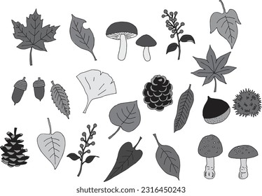 Autumn plants illustrations and elements set