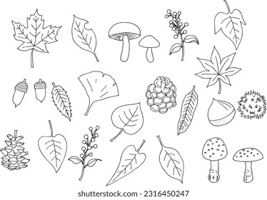 Autumn plants illustrations and elements set