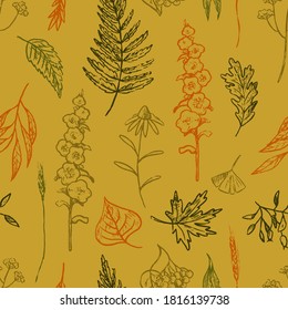 Autumn plants and leaves doodles seamless pattern. Hand drawn vector wallpaper in sketch style. Vintage colorful botanical background. For design print, wrapping, fabric, textile, fabric, decor, card.