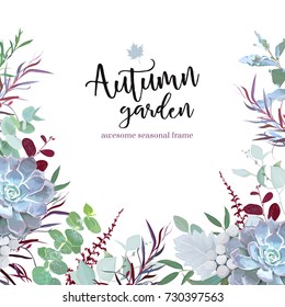 Autumn plants vector design frame arranged from eucalyptus, agonis, echeveria succulent, silverberry leaf, brunia berries, mixed herbs. Banner or border. All leaves are not cut. Isolated and editable