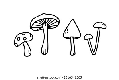 Autumn plants vector sketches. Hand drawn set of mushrooms