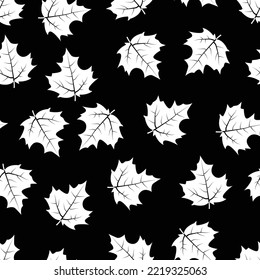 Autumn poplar leaves on black background. Minimal monochrome pattern with fallen autumn leaves, white textured leaves, autumn herbarium. Flat nature lying with autumn leaves