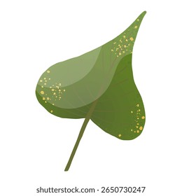 Autumn poplar tree leaf in gradient color, hand drawn with trendy textures isolated on white background. Autumn, foliage, fallen leaf, thanksgiving

