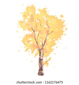 autumn poplar yellow watercolor vector