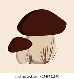 Autumn porcini mushrooms in the grass. Single element.