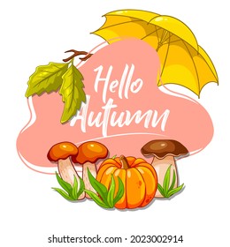 Autumn postcard. Banner with autumn items. Pumpkin, mushrooms, umbrella. Cartoon style. Vector illustration for design and decoration.