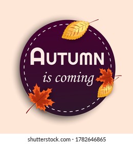 Autumn postcard, banner or lable. Autumn floral ornamental illustration in vector format.