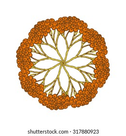 Autumn postcard. A beautiful pattern of twigs and fruits of mountain ash, arranged in a circle.  All isolated.