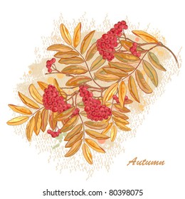 Autumn postcard with branches rowan