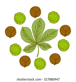 Autumn postcard. Circle of chestnut in shell and without shell, and inside the leaf of a chestnut. All isolated.