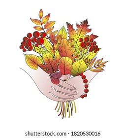 Autumn postcard. Close-up of hands holding a bouquet of bright autumn leaves and red rowan, and a rowan bracelet hangs on the arm. Isolated on a white background. Stock vector illustration.