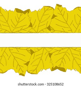 Autumn postcard in the form of hand-drawn autumn yellow dry maple leaves with curved corners, enclosing a rectangular space for the text in the middle of the picture. All isolated.