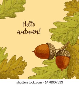 Autumn postcard with oak leaves, acorns. Greeting cards for vector flat design. Fall template. Cute invitation. Background with autumn plants for  the holiday.