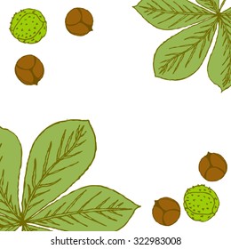 Autumn postcard. Square frame for text from hand-drawn green leaves of the chestnut tree and chestnuts, peel or without peel. All isolated.