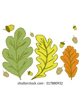 Autumn postcard. Three oak leaves in different colors, shape and size with acorns at the bottom of the picture. All isolated.