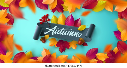 Autumn Poster and banner template with colorful maple,oak autumn leaves.Greetings and presents for Autumn season in flat lay styling.Promotion template for Autumn or fall concept.Vector illustration.