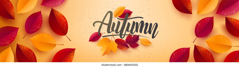 Autumn poster and banner template with autumn colorful leaves on yellow background.Greetings and presents for Autumn season.Promotion template for Autumn or fall concept