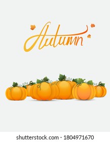 Autumn poster design with cute pumpkins. Vector illustration