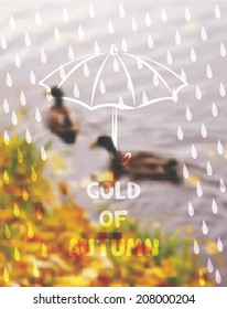 Autumn poster with ducks on the background