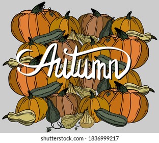 Autumn poster. Inscription and a set of yellow, orange and green pumpkins of various shapes, leaves and ovaries. Vector illustrations in cartoon style. Postcard, invitation, icon