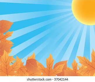 afiche de otoño con hojas
