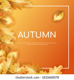 Autumn  poster with leaves background, poster. Can be used for poster, banner, flyer, invitation, website or postcard. Autumn design. Vector illustration