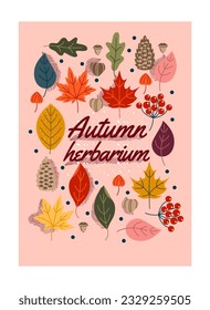 Autumn poster with leaves. Set for creating herbarium in fall season. Abstract poster or cover with oak and maple leaf, forest cone and rowan, acorn and chestnut. Cartoon flat vector illustration