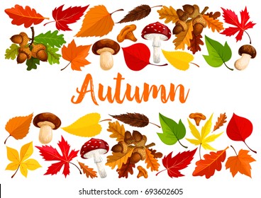 Autumn poster template of nature tree leaf fall and seasonal mushrooms amanita and forest cep. Vector design of oak acorn, falling leaves of maple, aspen or elm and poplar for autumn greeting card