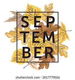 Autumn print with text September in the frame. Yellow oak, maple leaves on the white background. Vector illustration. Nature design. Fall season
