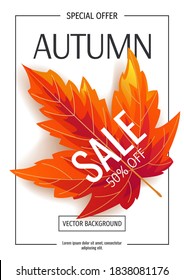 Autumn promo sale banner or background with autumn maple leaf. A4 vector illustration for banner, poster, invitation, special offer, advertising, flyer, commercial.