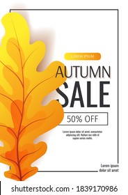 Autumn promo sale banner or background with autumn oak leaf. A4 vector illustration for banner, poster, invitation, special offer, advertising, flyer, commercial.