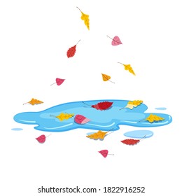 Autumn puddle with falling colorful leaves. Vector illustration