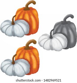 autumn pumpink set illustration design