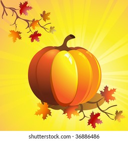 Autumn pumpkin
