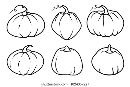 Autumn pumpkin black line icon set. Contour template different shape gourd. Linear style pictogram. Outline sign Thanksgiving and Halloween, season crop capacity Isolated on white vector illustration