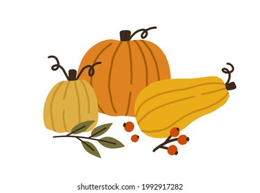 Autumn pumpkin, butternut squash and gourd of different shapes and sizes. Seasonal fall harvest. Halloween orange and yellow vegetables. Colored flat vector illustration isolated on white background