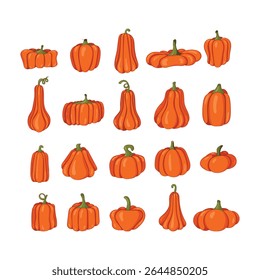 autumn pumpkin Collection of colored beautiful . Cartoon pumpkins, halloween squash, fall harvest gourds. Thanksgiving. Pumpkins. Autumn thanksgiving and halloween pumpkins collection. Vector illustra