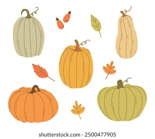 Calabaza de otoño, calabaza de diferentes Formas y tamaños, cosecha de otoño estacional, naranja de halloween, verduras amarillas y verdes, Ilustración vectorial plana sobre fondo blanco