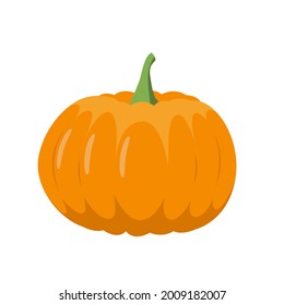 Autumn pumpkin for halloween. Orange pumpkin for fall mood. White isolated vector stock illustration EPS 10. v