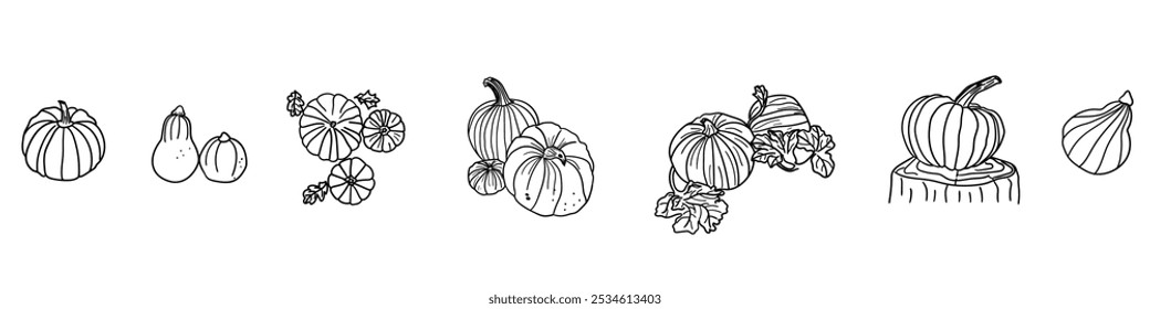 Autumn pumpkin hand drawn doodles and clip art. Fall elements clipart.