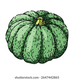 autumn pumpkin hand drawn. harvest carving, spice pie, orange squash autumn pumpkin vector sketch. isolated color illustration