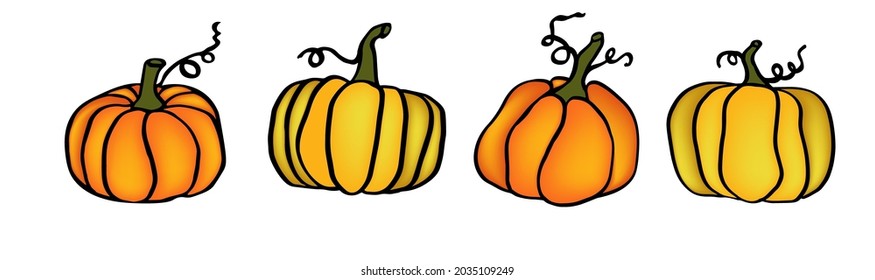 Autumn pumpkin hand drawn thanksgivin ilustration for card or baner 